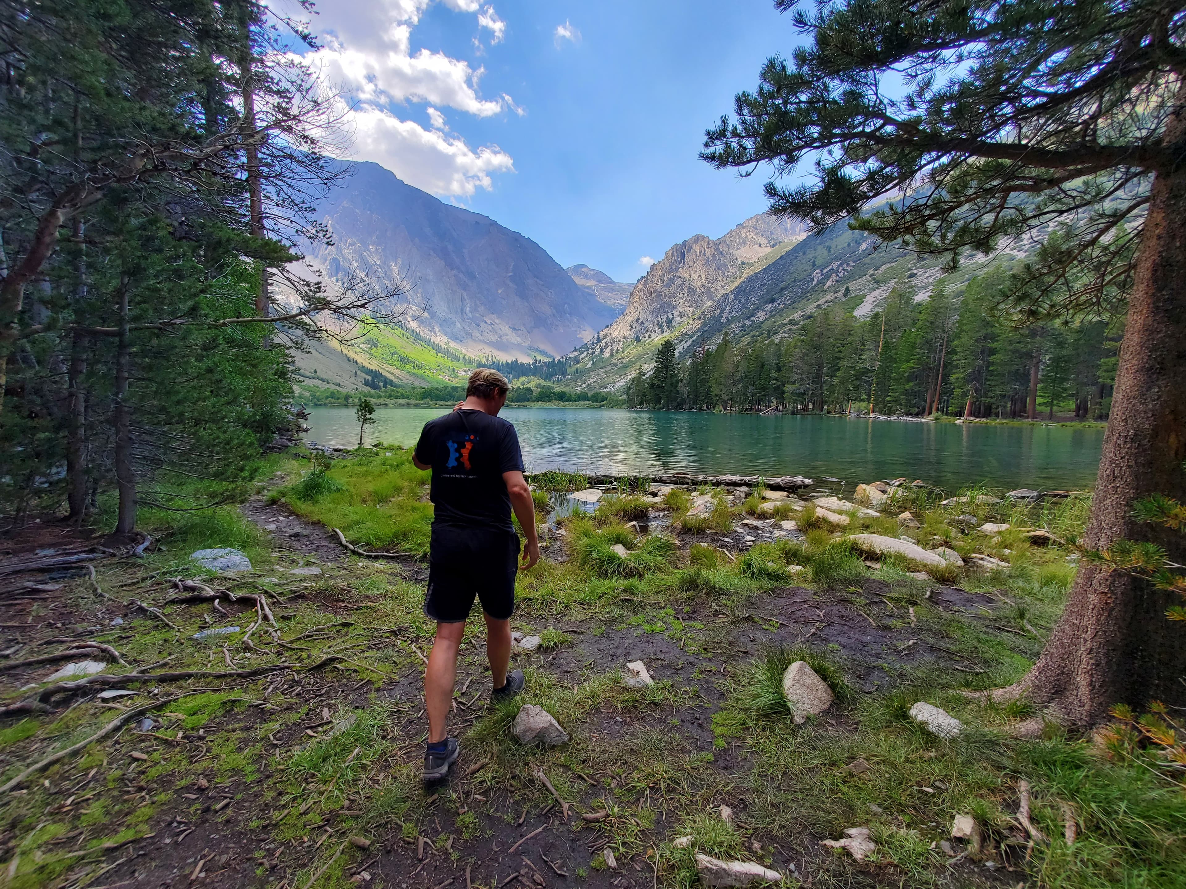 Through the Desert Wind