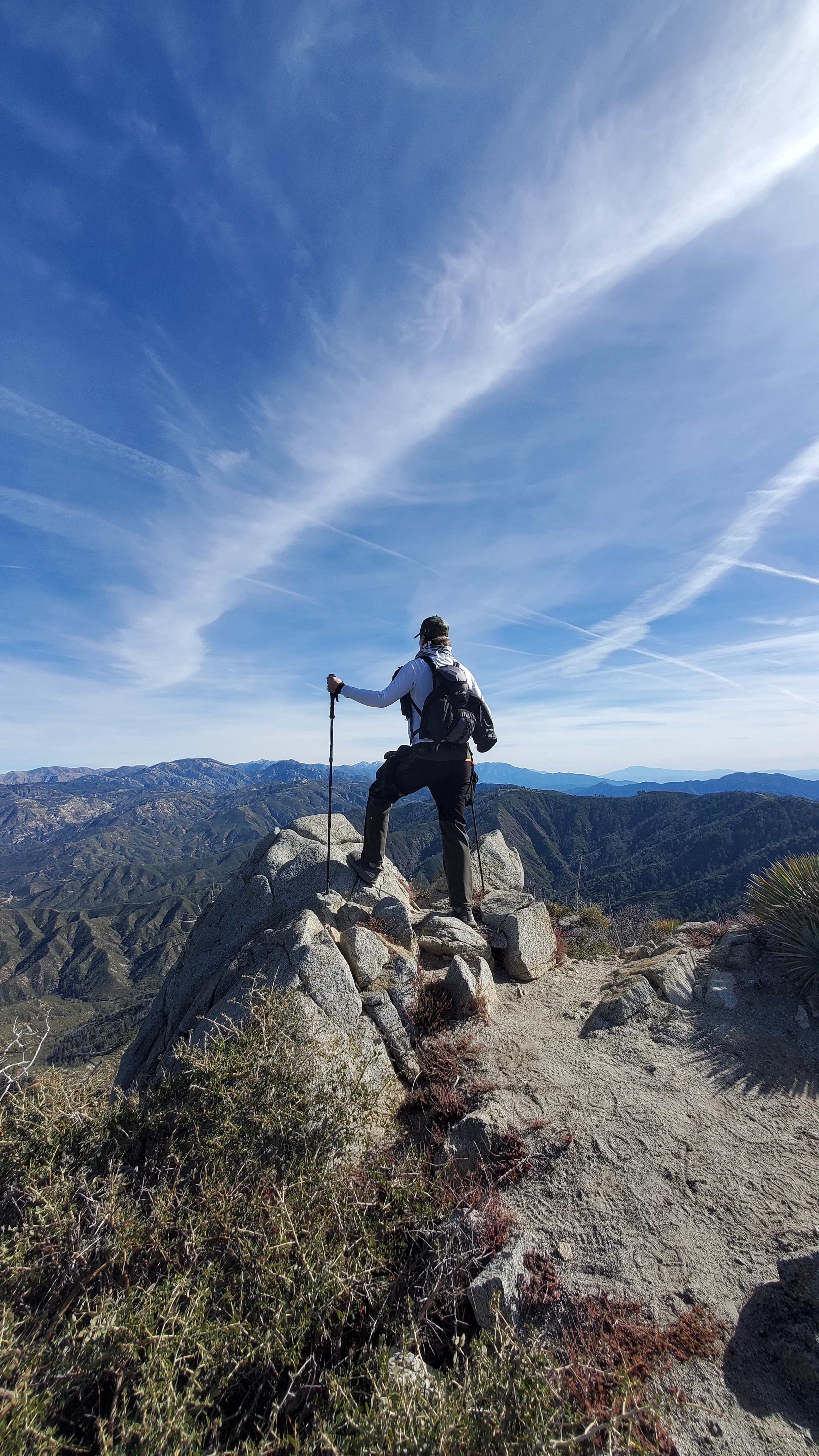 Through the Desert Wind